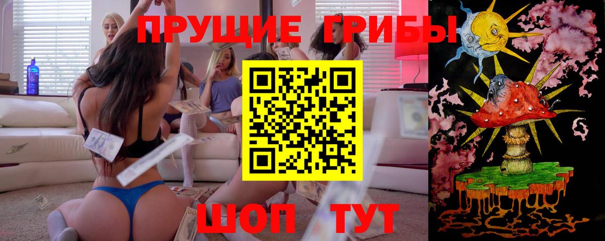 Вятские Поляны  Галлюциногенные грибы Magic Shrooms  Псилоцибиновые грибы Magic Shrooms  Вход с VPN 
